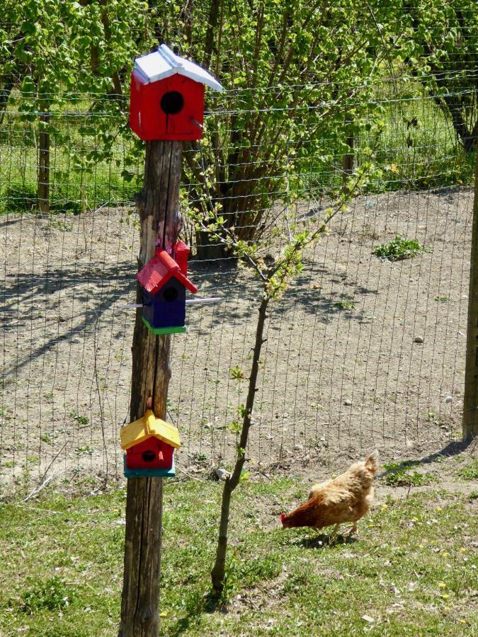 Agriturismo Bottega Di Rosanna Castagnole delle Lanze Екстериор снимка